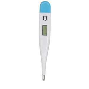 Oral Thermometer