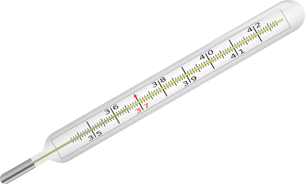 Mercury thermometer